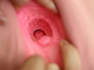 Climax Sex Doll Torso 3