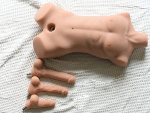Female Fuck Male Masturbator Torso 2