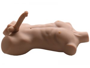 Female Fuck Male Masturbator Torso 9