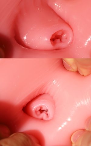 Premium Sex Doll Torso 6